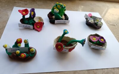 Begonije – sat likovne kulture